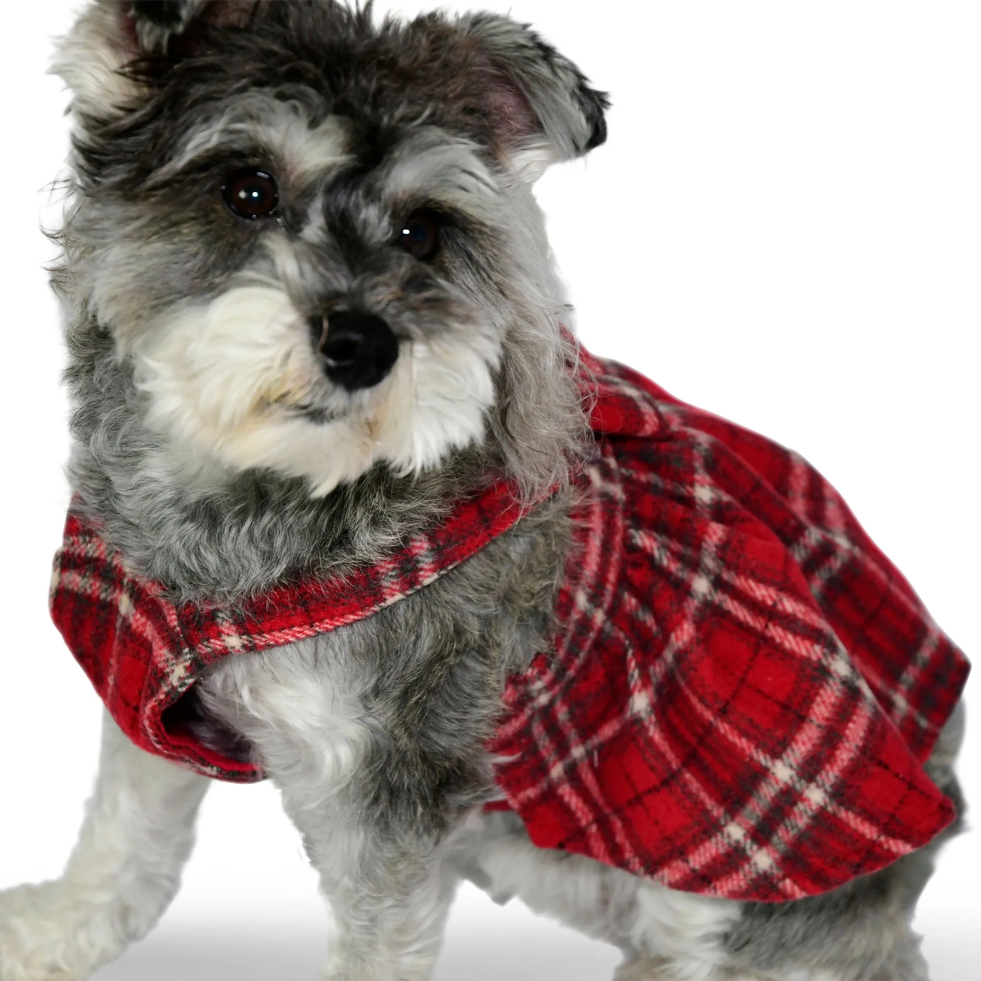 Classic Tartan Pet Dress